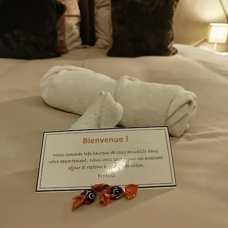 Vieille Stanislas Appartement
