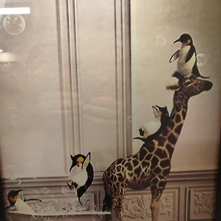 Vieille Stanislas Appartement Nancy