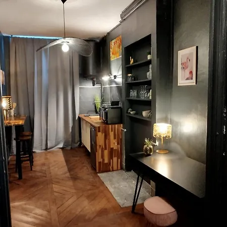 Vieille Stanislas Apartamento Nancy