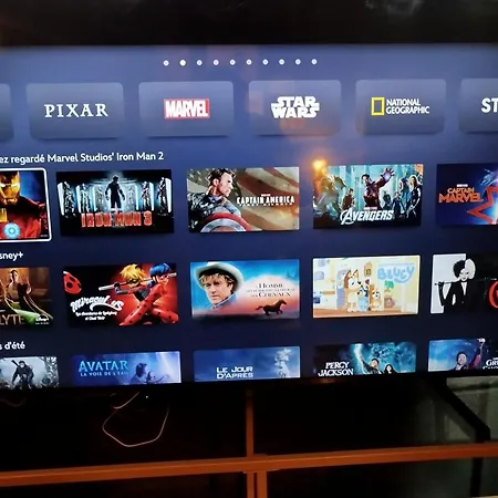 Vieille Stanislas Lejlighed Nancy