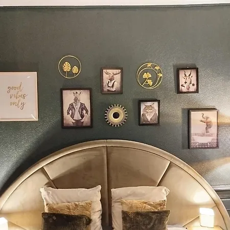 Vieille Stanislas Appartement