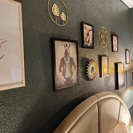 Vieille Stanislas Appartement Nancy