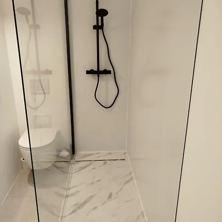 Vieille Stanislas Appartement