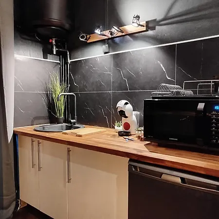Vieille Stanislas Appartement