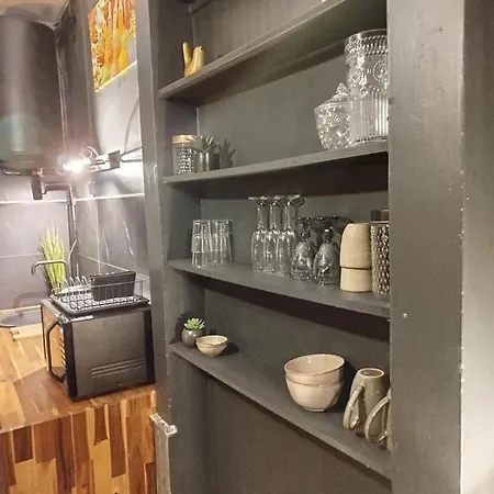 Vieille Stanislas Appartement