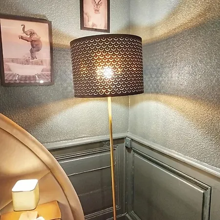 Vieille Stanislas Appartement Nancy