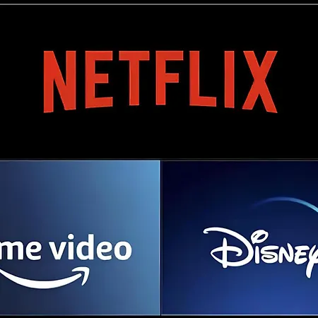 Apartment Vieille Stanislas *