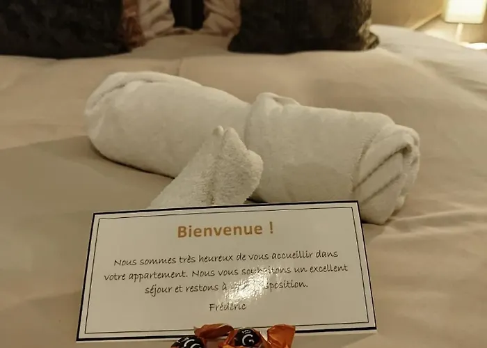 Vieille Stanislas Apartment