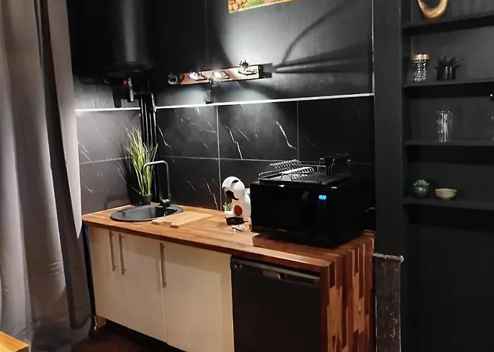 Apartment Vieille Stanislas *