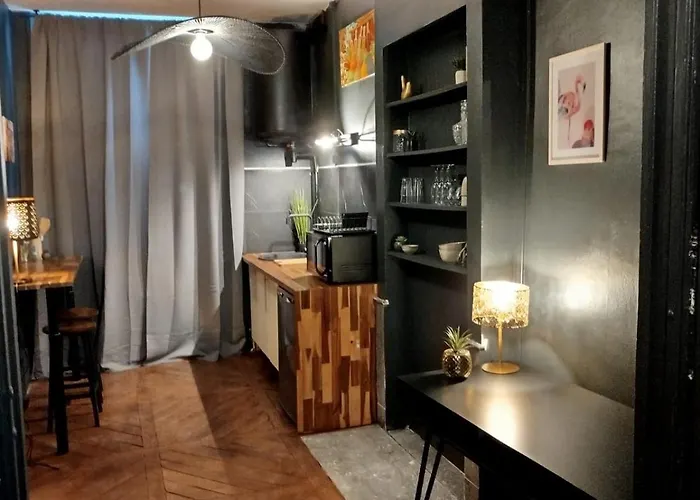 Vieille Stanislas Appartamento Nancy