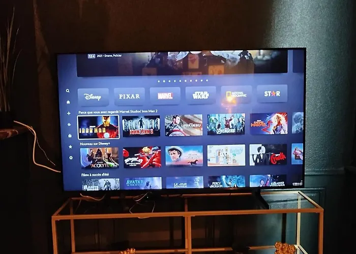 Vieille Stanislas Appartamento