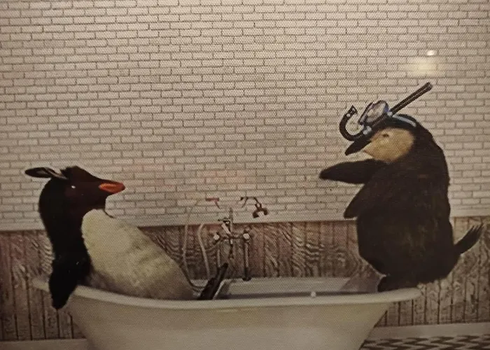 Vieille Stanislas Lejlighed *