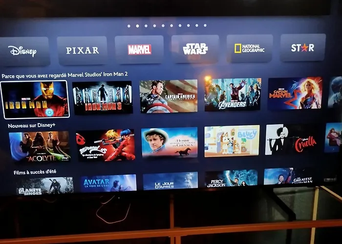 Vieille Stanislas Lejlighed Nancy