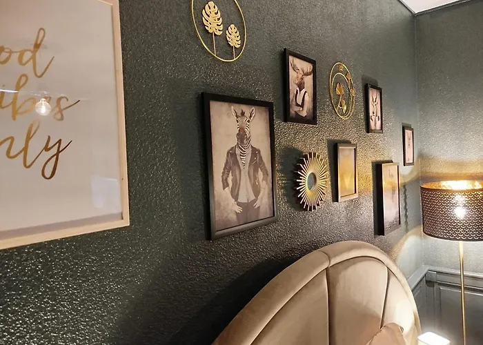 Vieille Stanislas Lejlighed Nancy