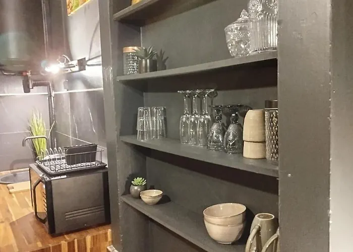 Vieille Stanislas Apartment