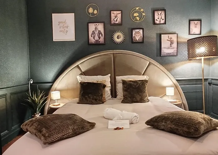 Apartment Vieille Stanislas *