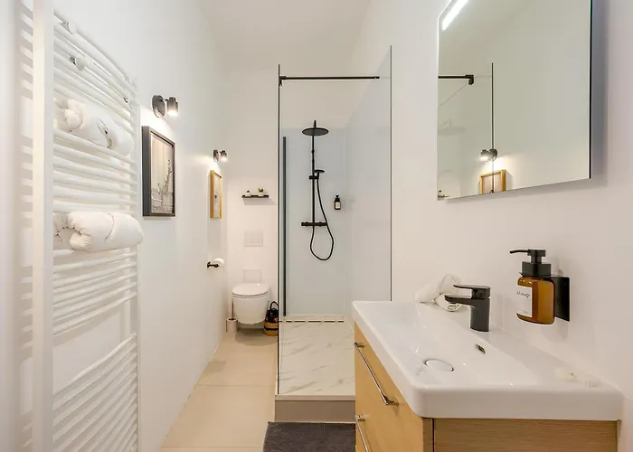 Apartment Vieille Stanislas Nancy